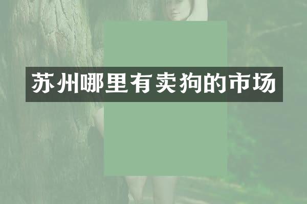 苏州哪里有卖狗的市场