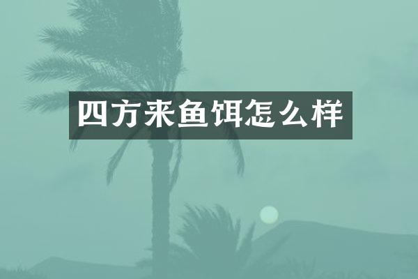 四方来鱼饵怎么样