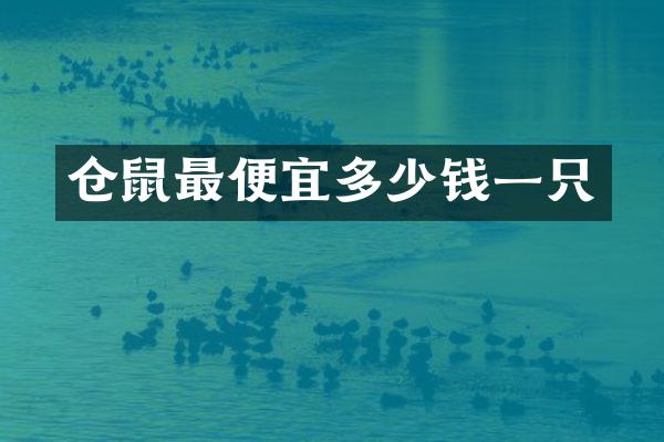 仓鼠最便宜多少钱一只