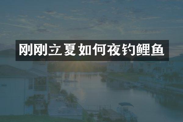 刚刚立夏如何夜钓鲤鱼
