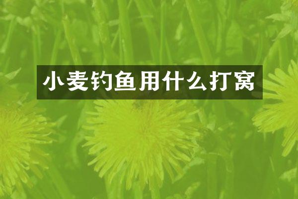 小麦钓鱼用什么打窝