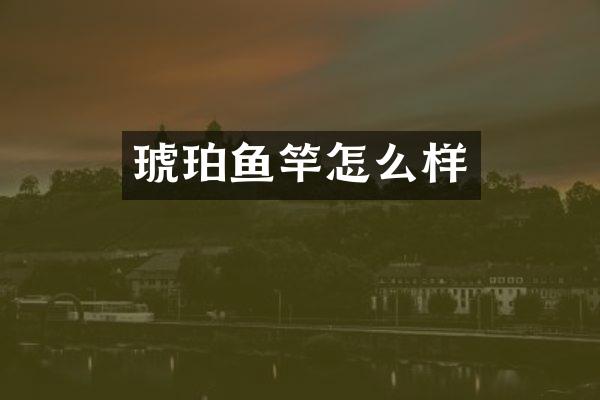 琥珀鱼竿怎么样