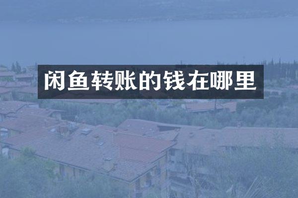 闲鱼转账的钱在哪里