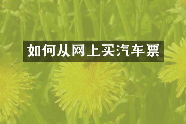 如何从网上买汽车票