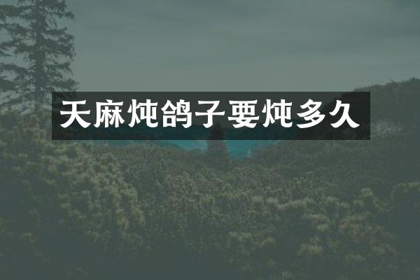 天麻炖鸽子要炖多久