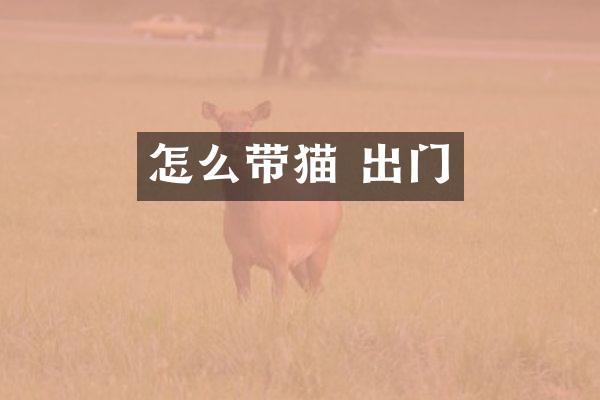 怎么带猫 出门