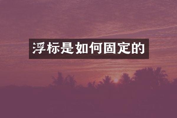 浮标是如何固定的