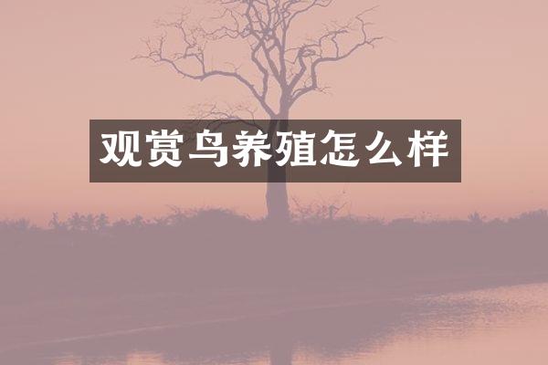 观赏鸟养殖怎么样