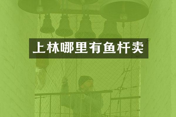 上林哪里有鱼杆卖