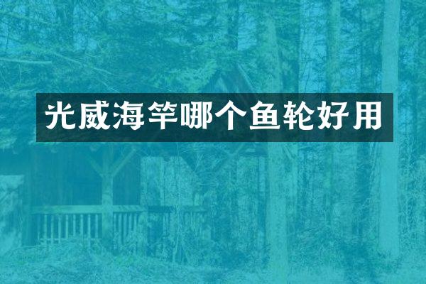光威海竿哪个鱼轮好用