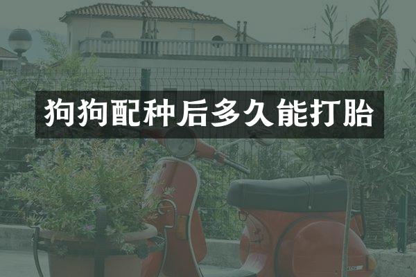 狗狗配种后多久能打胎