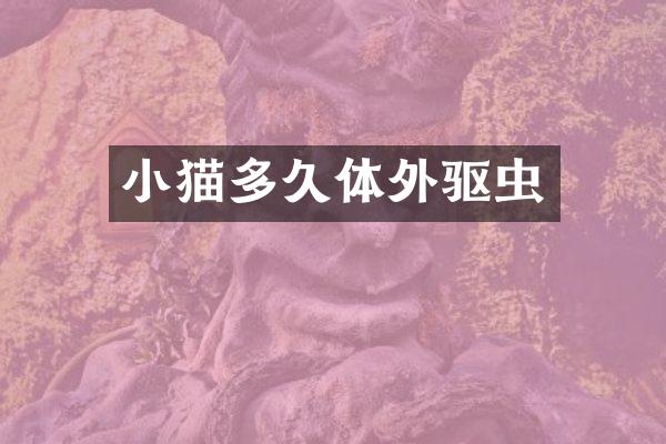 小猫多久体外驱虫