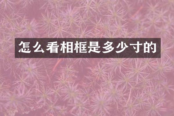 怎么看相框是多少寸的