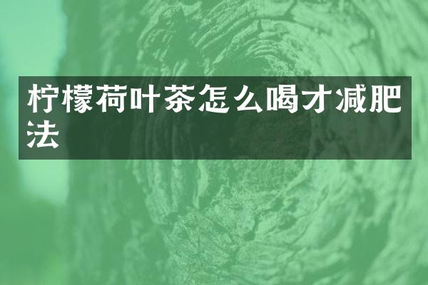 柠檬荷叶茶怎么喝才减肥法