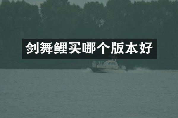 剑舞鲤买哪个版本好