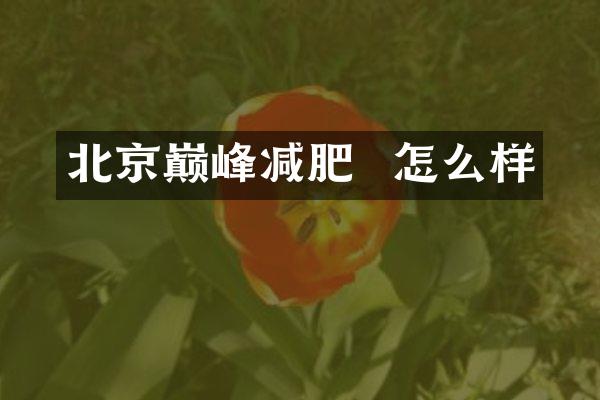 北京巅峰减肥  怎么样