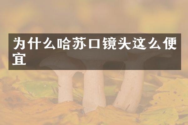 为什么哈苏口镜头这么便宜