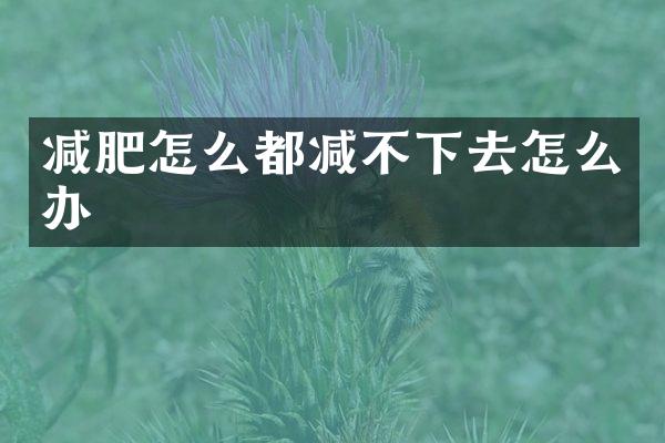 减肥怎么都减不下去怎么办