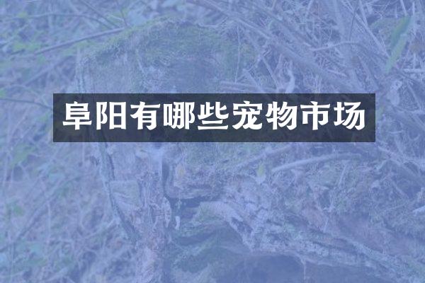 阜阳有哪些宠物市场