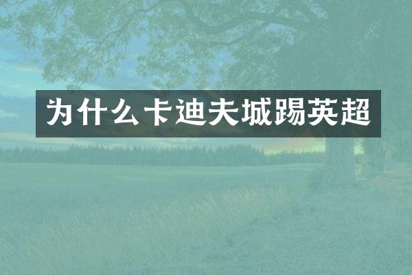 为什么卡迪夫城踢英超