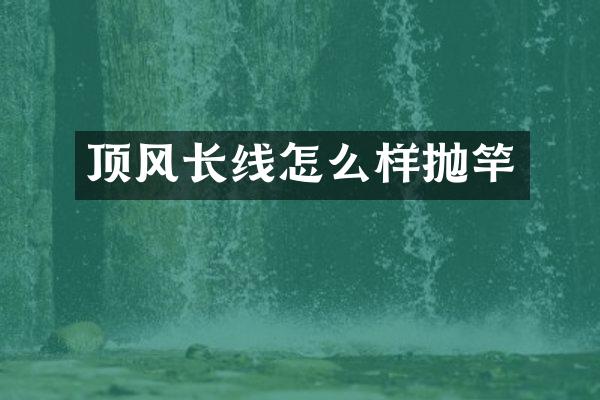 顶风长线怎么样抛竿