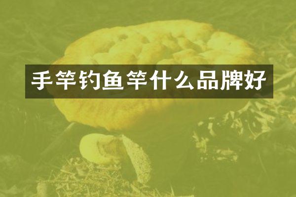 手竿钓鱼竿什么品牌好