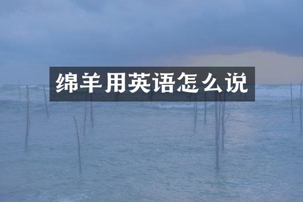 绵羊用英语怎么说