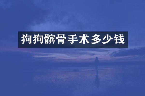 狗狗髌骨手术多少钱