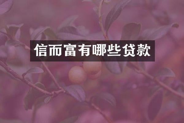 信而富有哪些贷款