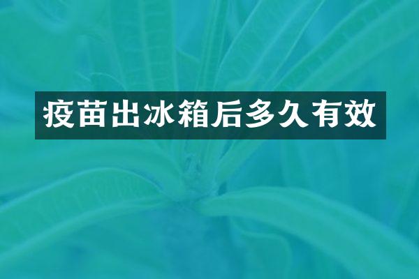 疫苗出冰箱后多久有效