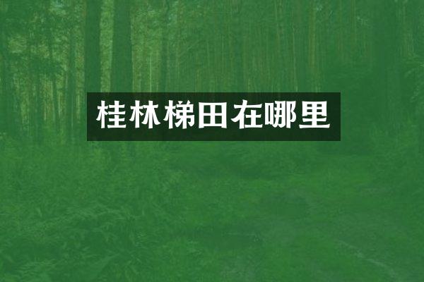 桂林梯田在哪里