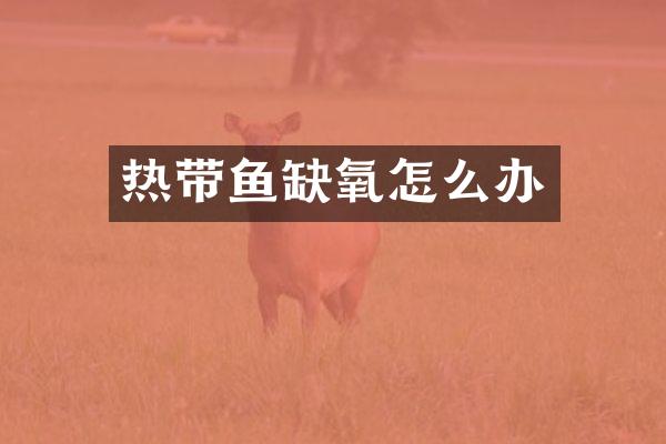 热带鱼缺氧怎么办