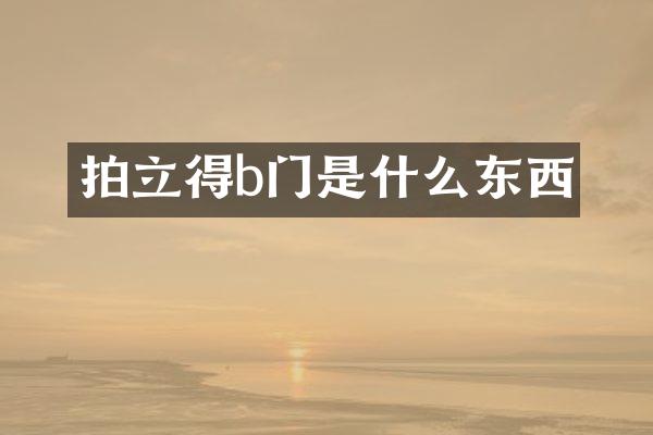 b门是什么东西