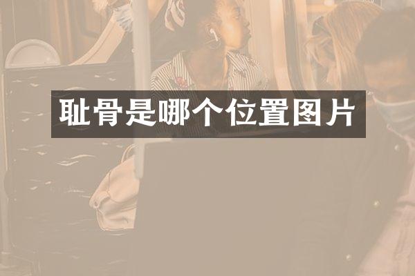 耻骨是哪个位置图片