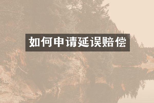如何申请延误赔偿