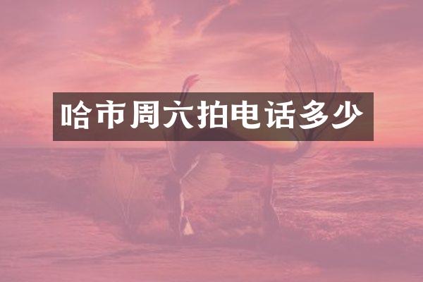 哈市周六拍电话多少