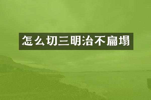 怎么切三明治不扁塌