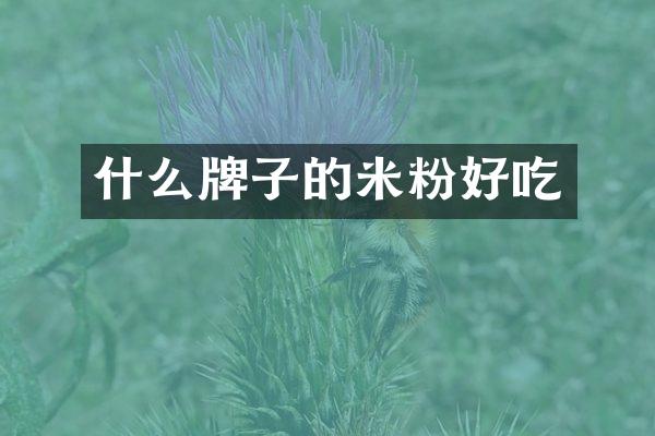 什么牌子的米粉好吃