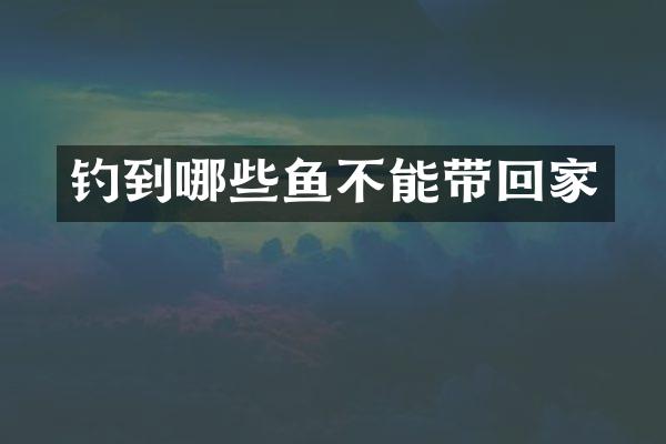 钓到哪些鱼不能带回家