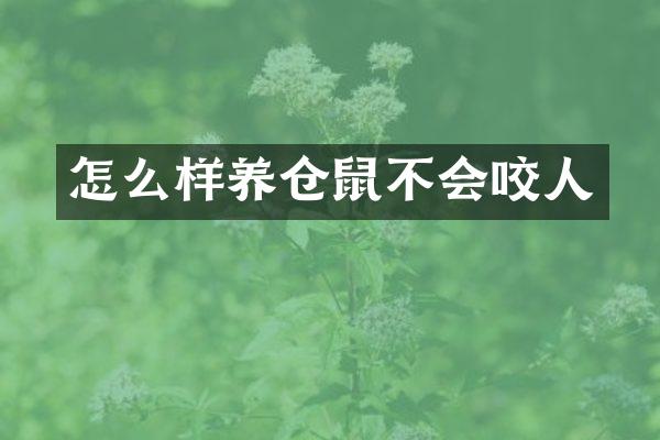 怎么样养仓鼠不会咬人