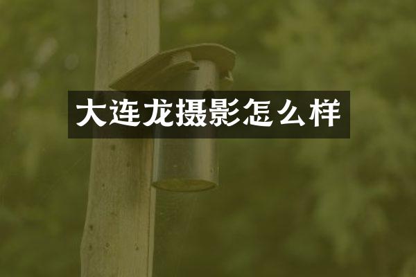 大连龙摄影怎么样