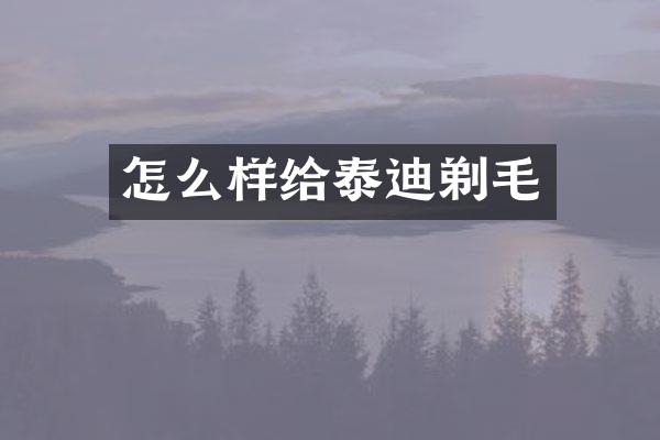 怎么样给泰迪剃毛