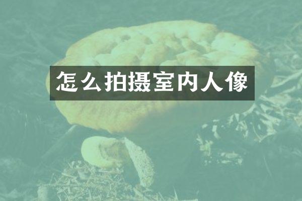 怎么拍摄室内人像