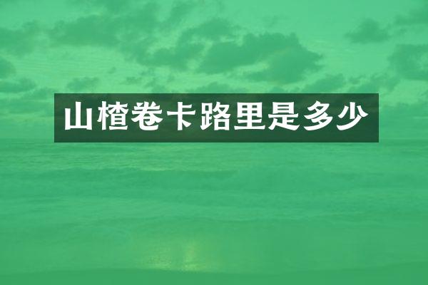 山楂卷卡路里是多少