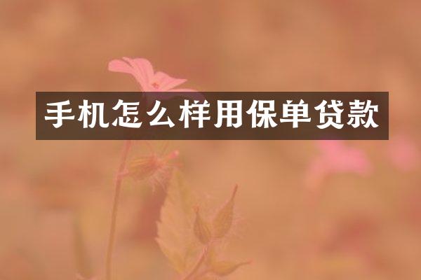 手机怎么样用保单贷款