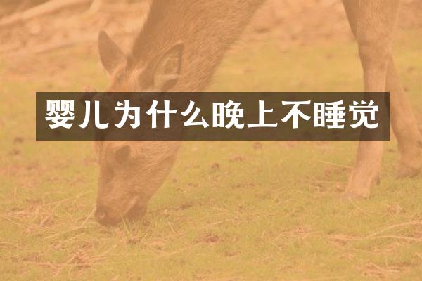婴儿为什么晚上不睡觉