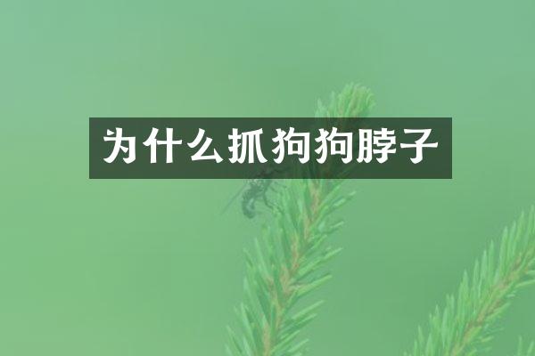 为什么抓狗狗脖子