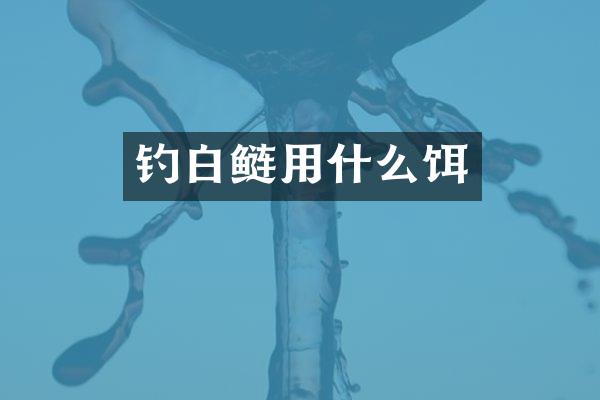 钓白鲢用什么饵