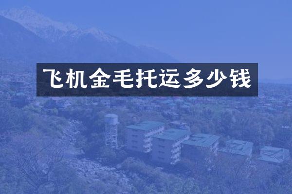 飞机金毛托运多少钱