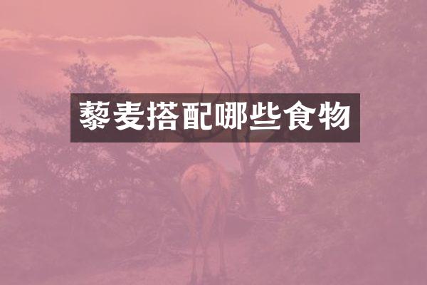 藜麦搭配哪些食物